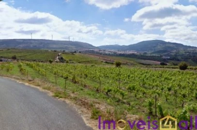 Terreno para Venda em São Pedro da Cadeira
