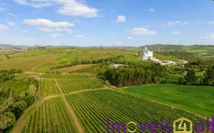 Terreno para Venda em São Pedro da Cadeira