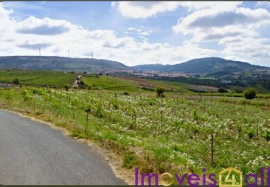 Terreno para Venda em São Pedro da Cadeira