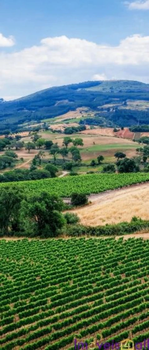 Terreno para Venda em São Pedro da Cadeira