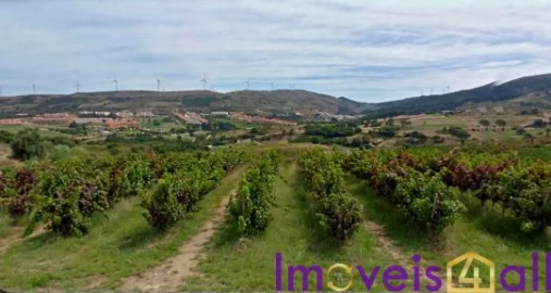 Terreno para Venda em São Pedro da Cadeira