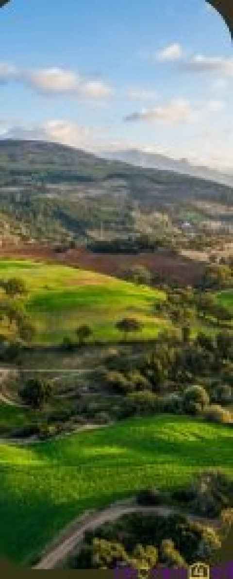 Terreno para Venda em São Pedro da Cadeira