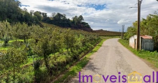 Terreno para Venda em São Pedro da Cadeira