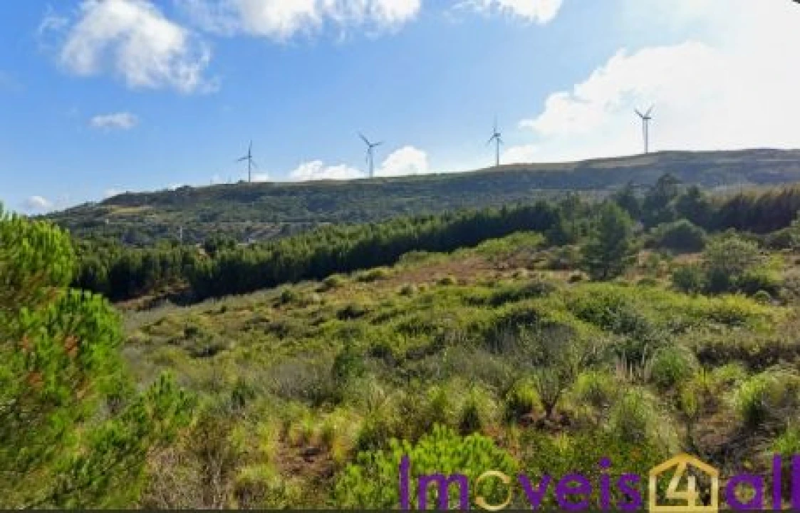 Terreno para Venda em São Pedro da Cadeira Foto 25