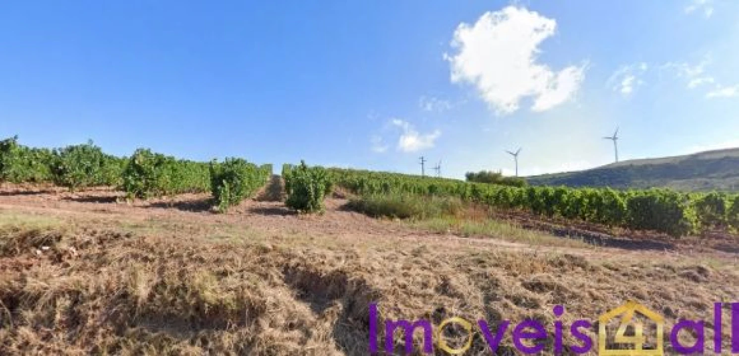 Terreno para Venda em São Pedro da Cadeira Foto 6