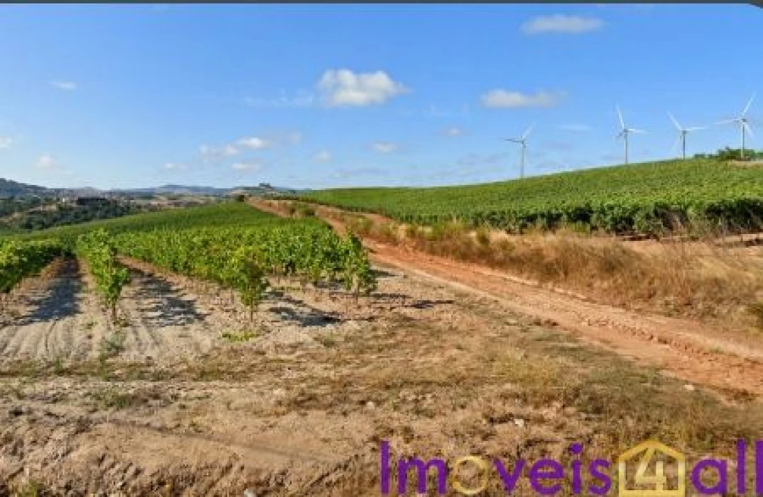 Terreno para Venda em São Pedro da Cadeira Foto 33