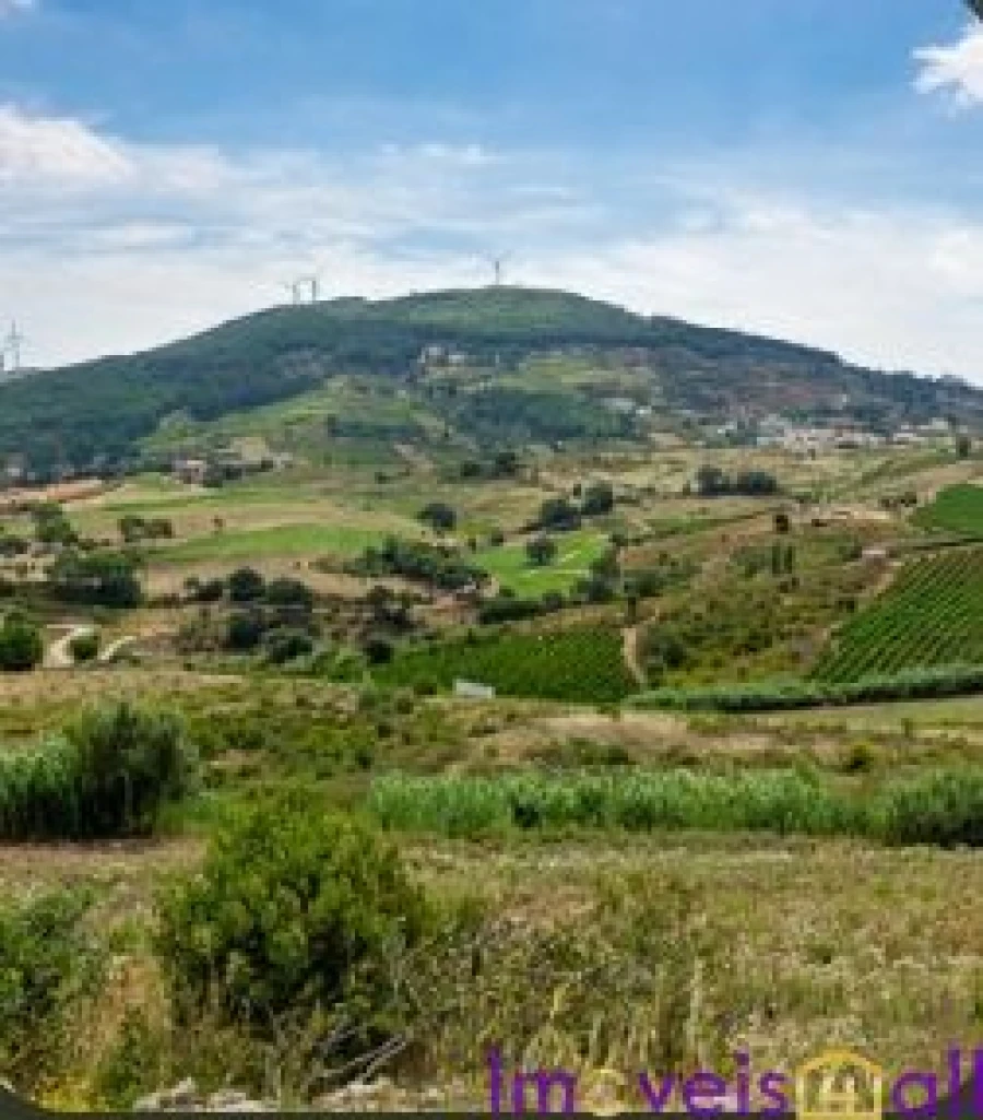 Terreno para Venda em São Pedro da Cadeira Foto 9