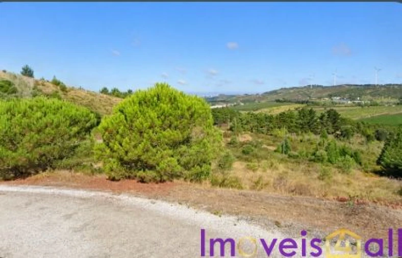 Terreno para Venda em São Pedro da Cadeira Foto 28
