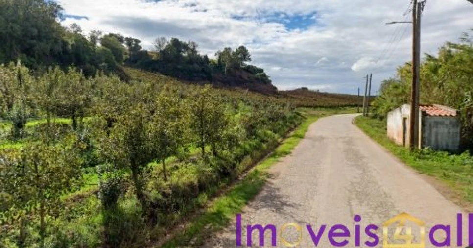 Terreno para Venda em São Pedro da Cadeira Foto 19