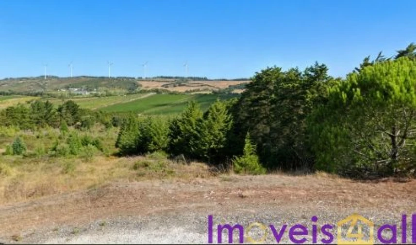 Terreno para Venda em São Pedro da Cadeira Foto 27