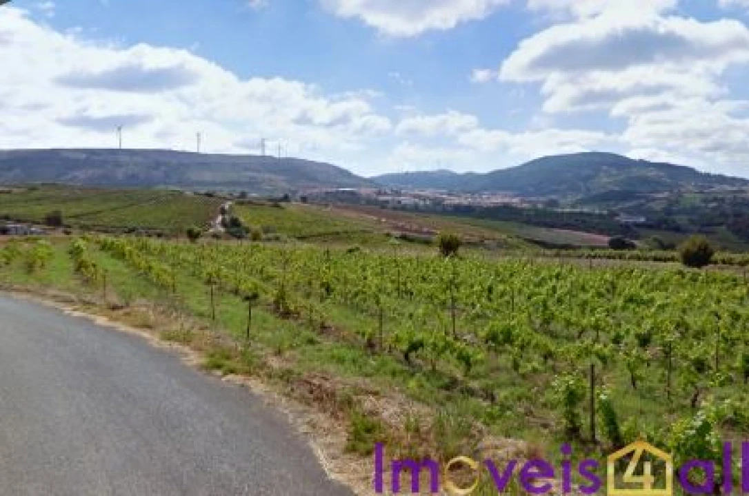 Terreno para Venda em São Pedro da Cadeira Foto 22