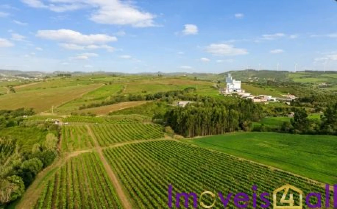 Terreno para Venda em São Pedro da Cadeira Foto 19