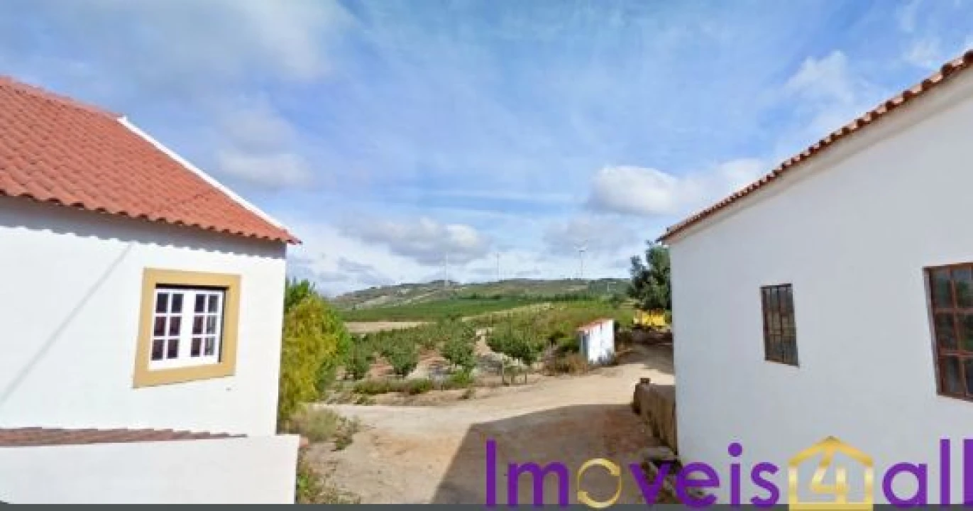 Terreno para Venda em São Pedro da Cadeira Foto 30