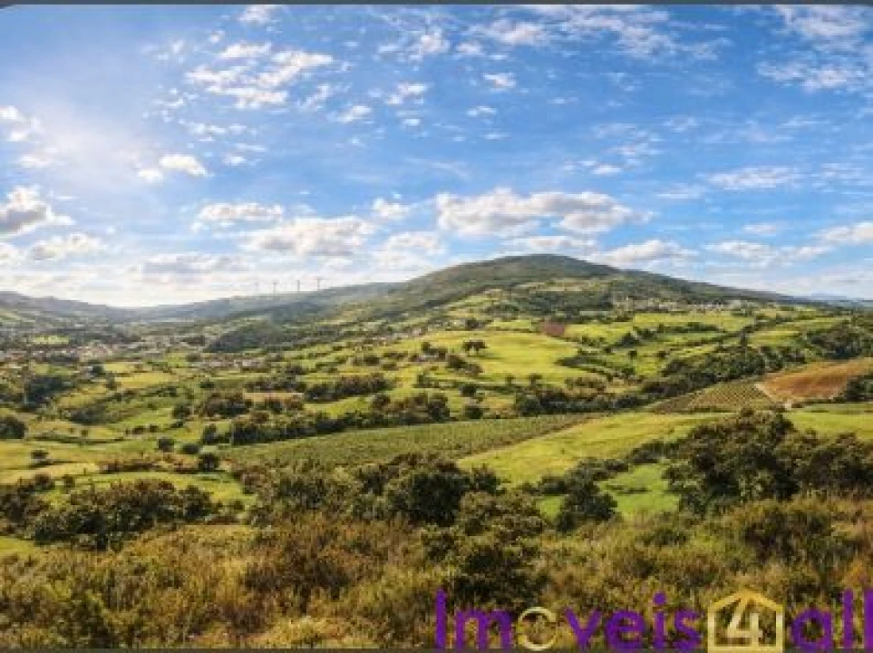 Terreno para Venda em São Pedro da Cadeira Foto 18