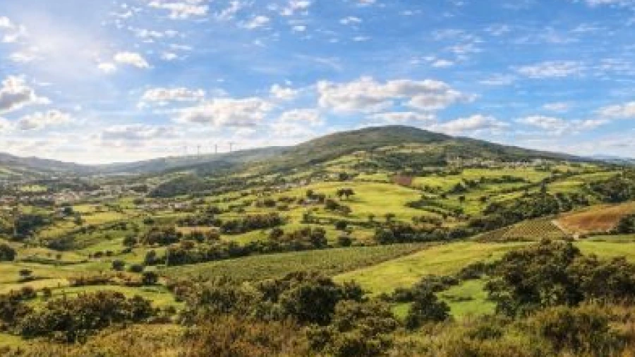 Terreno para Venda em São Pedro da Cadeira