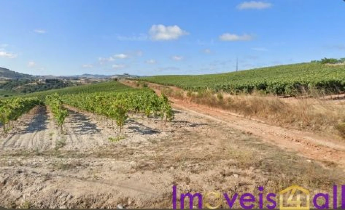 Terreno para Venda em São Pedro da Cadeira Foto 8