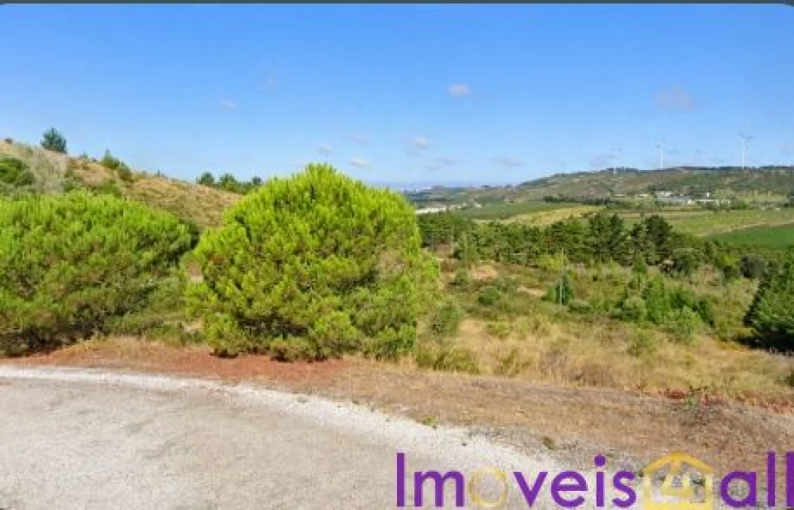 Terreno para Venda em São Pedro da Cadeira Foto 28