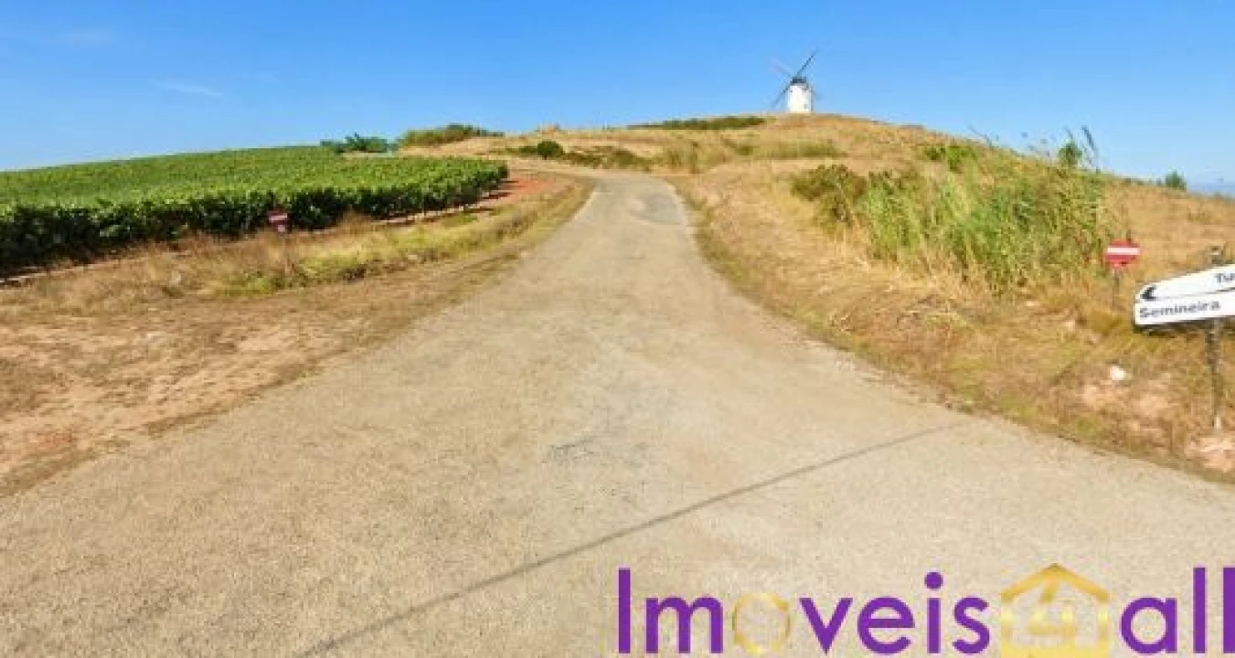 Terreno para Venda em São Pedro da Cadeira Foto 23