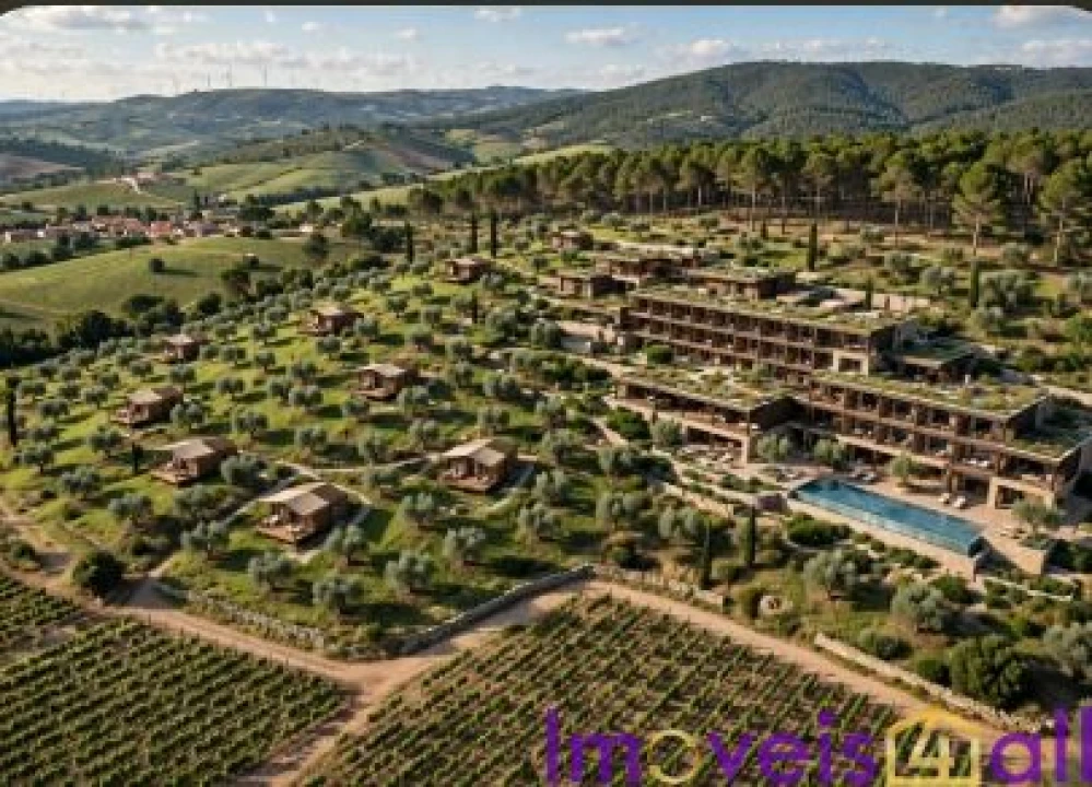 Terreno para Venda em São Pedro da Cadeira Foto 4