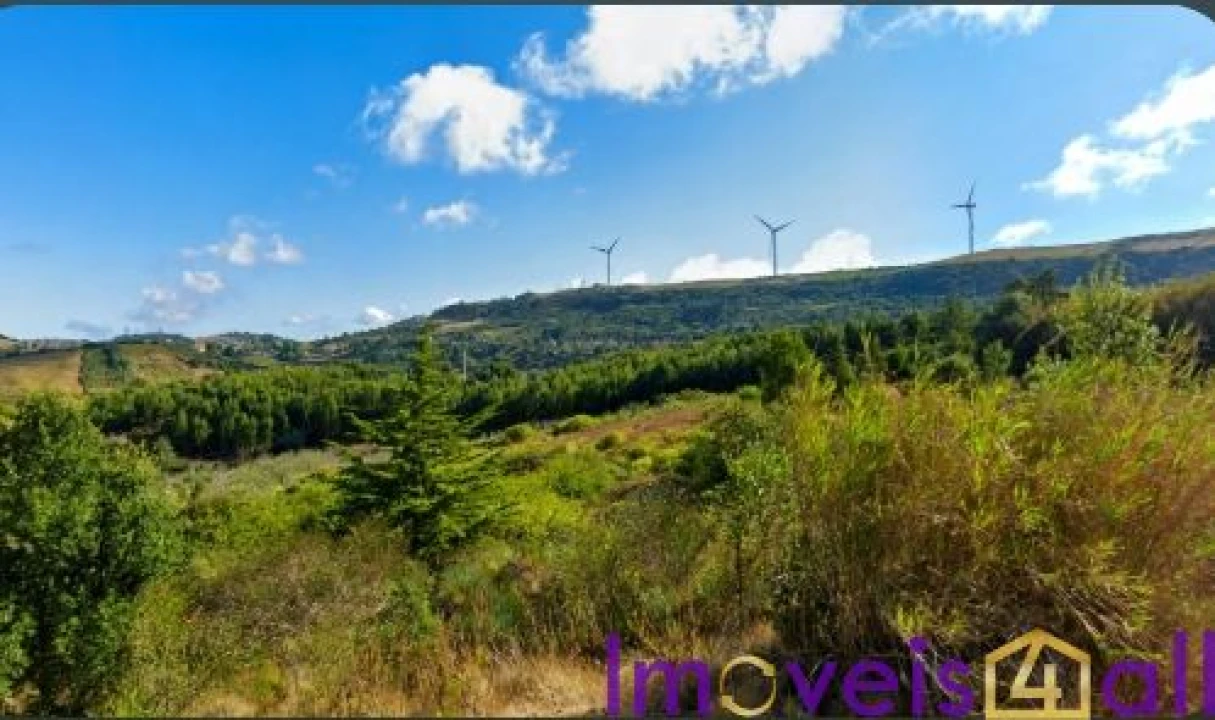Terreno para Venda em São Pedro da Cadeira Foto 26