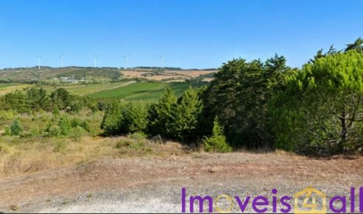 Terreno para Venda em São Pedro da Cadeira Foto 27