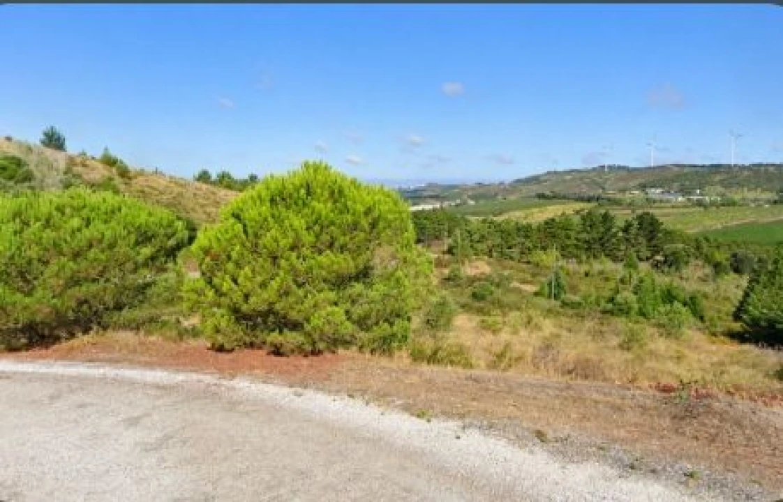 Terreno para Venda em São Pedro da Cadeira Planta 2