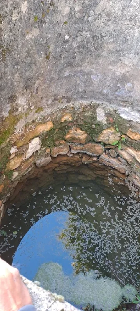 Terreno para Venda em Lousa