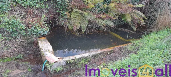 Terreno para Venda em Lousa