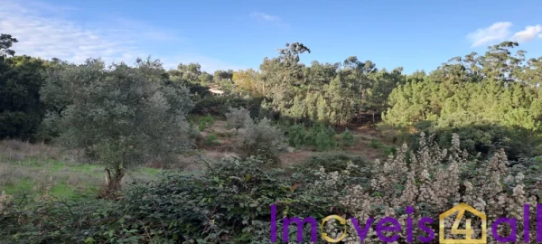 Terreno para Venda em Lousa