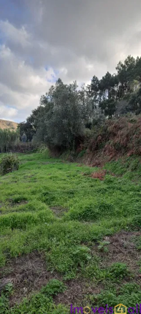 Terreno para Venda em Lousa