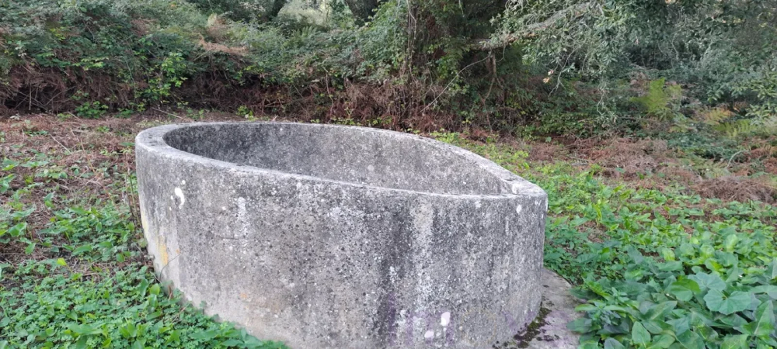 Terreno para Venda em Lousa Foto 3