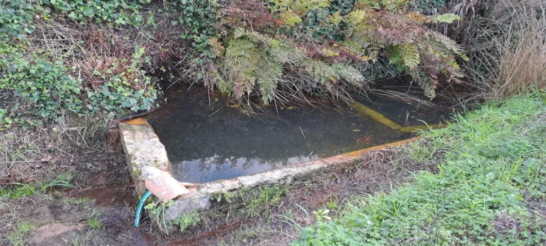 Terreno para Venda em Lousa Foto 4