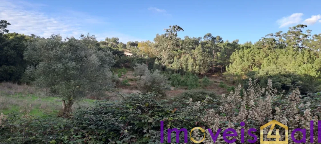 Terreno para Venda em Lousa Foto 2