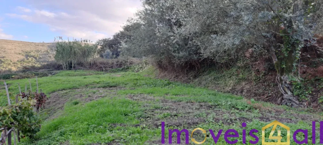 Terreno para Venda em Lousa Foto 6