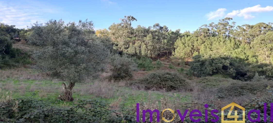 Terreno para Venda em Lousa