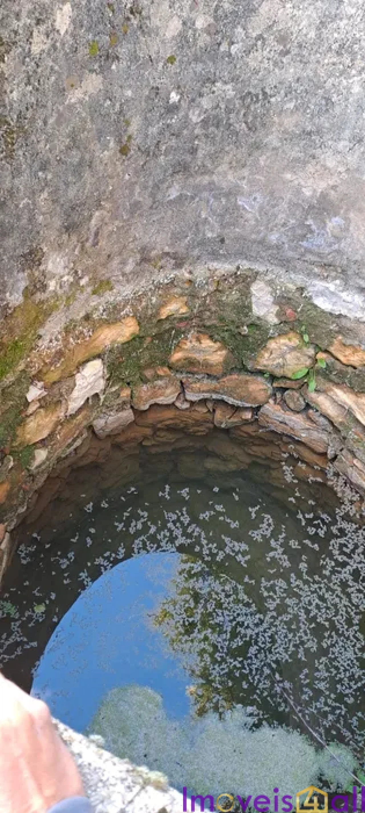 Terreno para Venda em Lousa Foto 7
