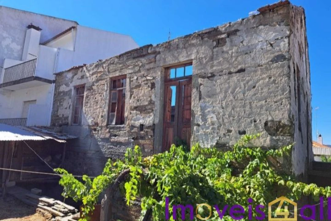 Terreno para Venda em Vila Nova de Foz Côa Foto 4
