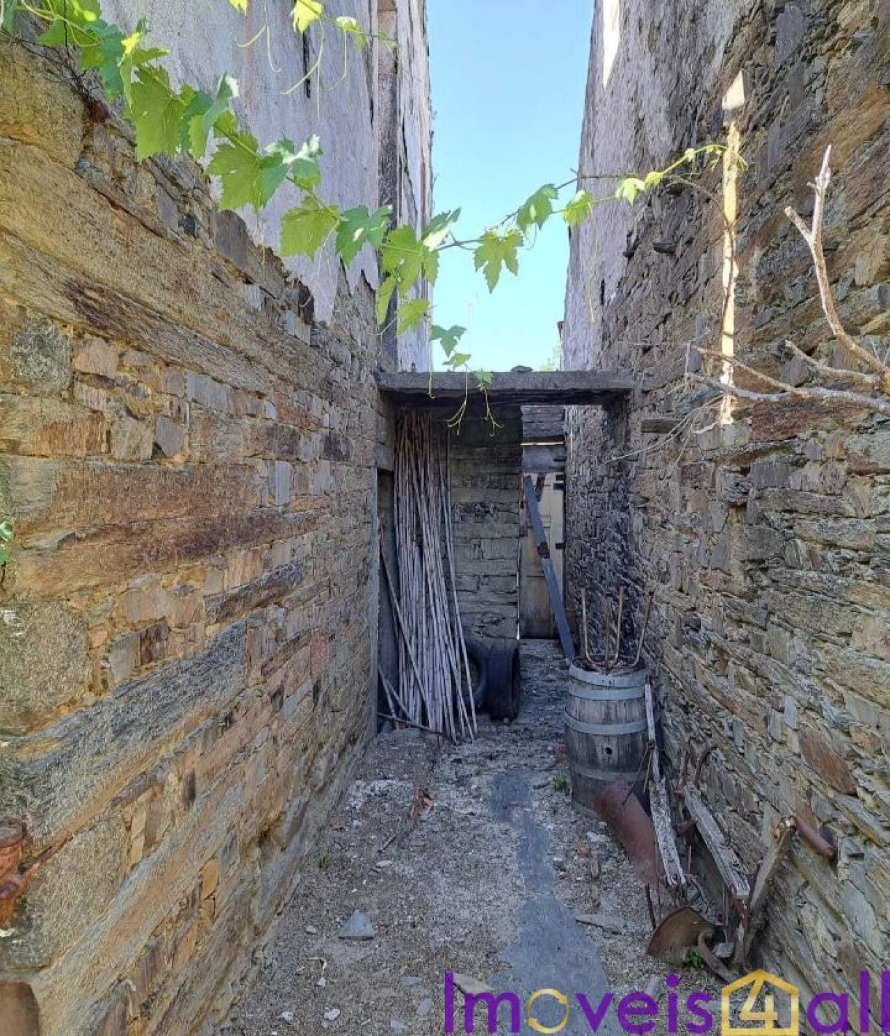 Terreno para Venda em Vila Nova de Foz Côa Foto 6