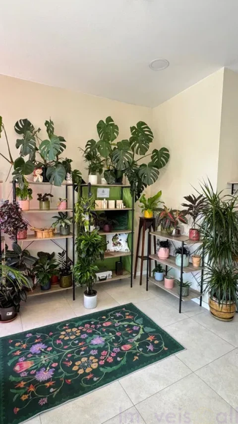 Loja para Trespasse em União das Freguesias de Setúbal