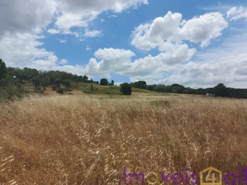 Terreno para Venda em Cabeção