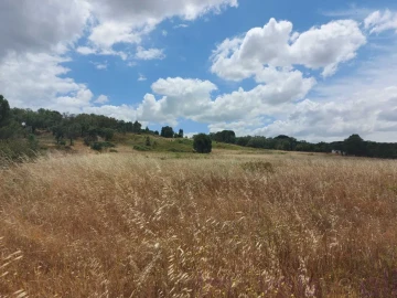 Terreno para Venda em Cabeção