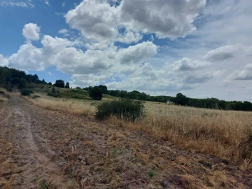 Terreno para Venda em Cabeção