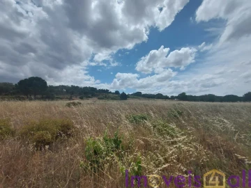 Terreno para Venda em Cabeção