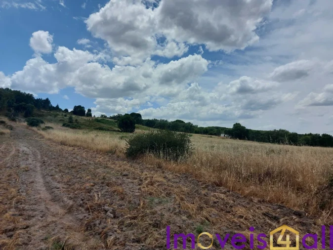 Terreno para Venda em Cabeção Foto 3