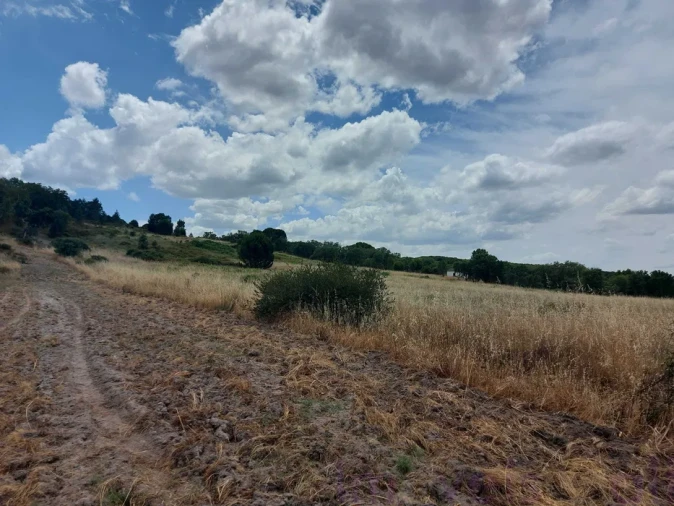 Terreno para Venda em Cabeção Foto 3