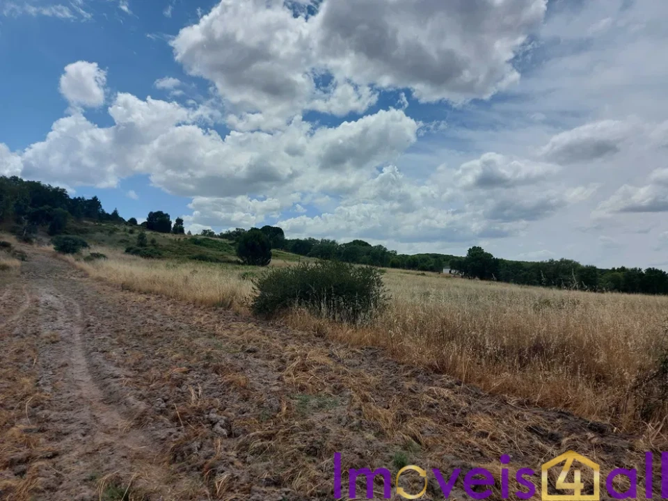 Terreno para Venda em Cabeção Foto 3