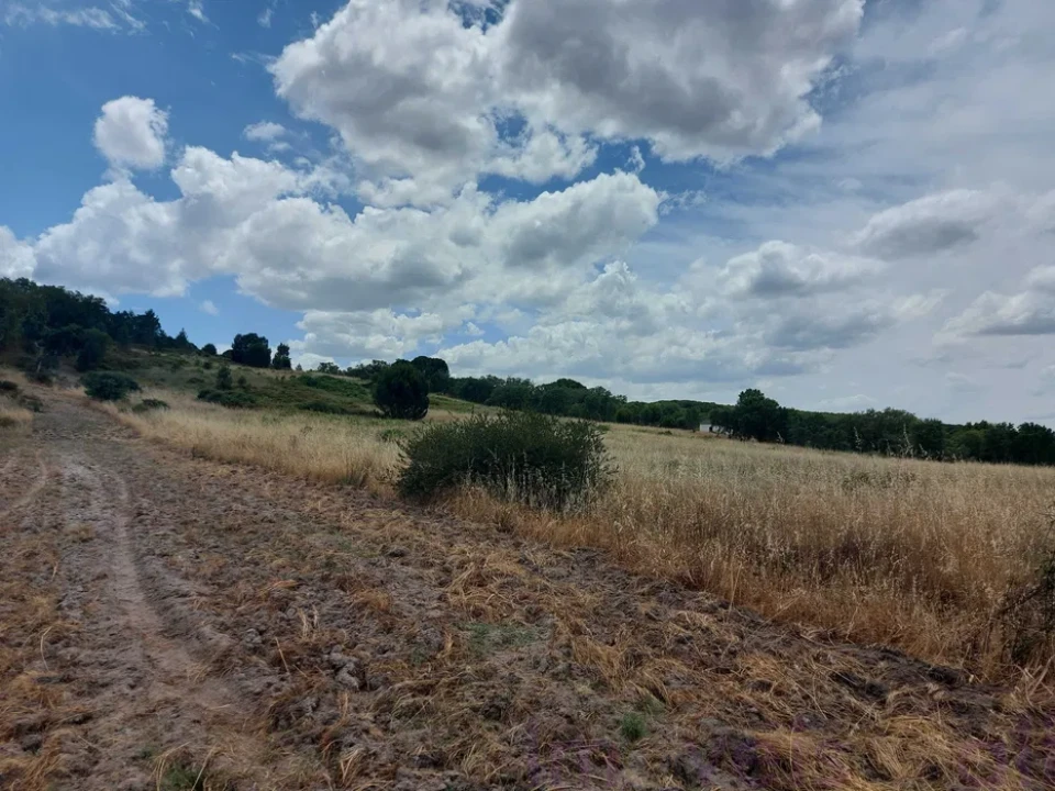 Terreno para Venda em Cabeção Foto 3