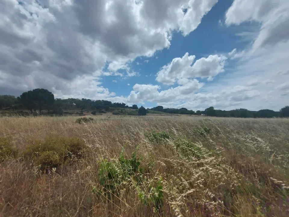 Terreno para Venda em Cabeção Foto 2