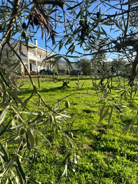 Quinta T5 para Venda em Faro (Sé e São Pedro)