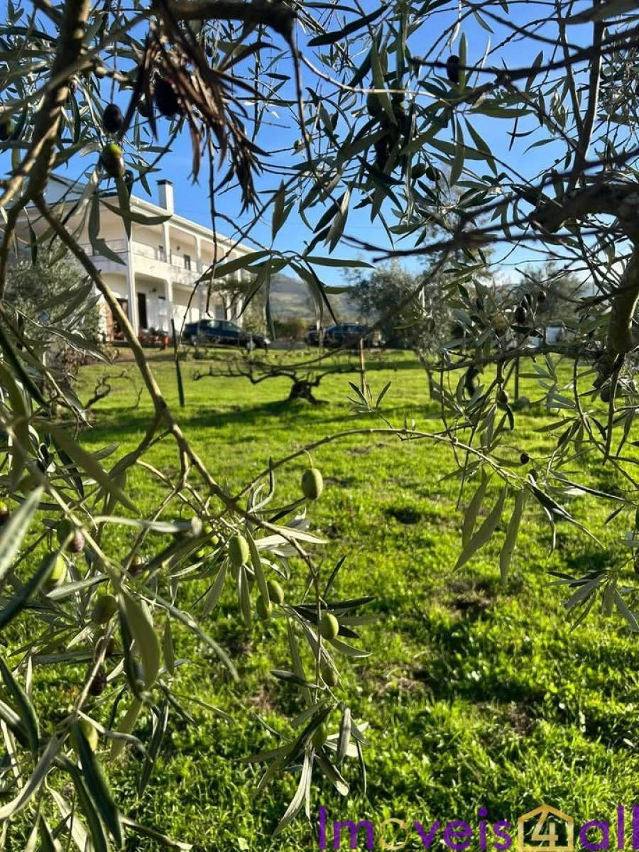 Quinta T5 para Venda em Faro (Sé e São Pedro) Foto 4